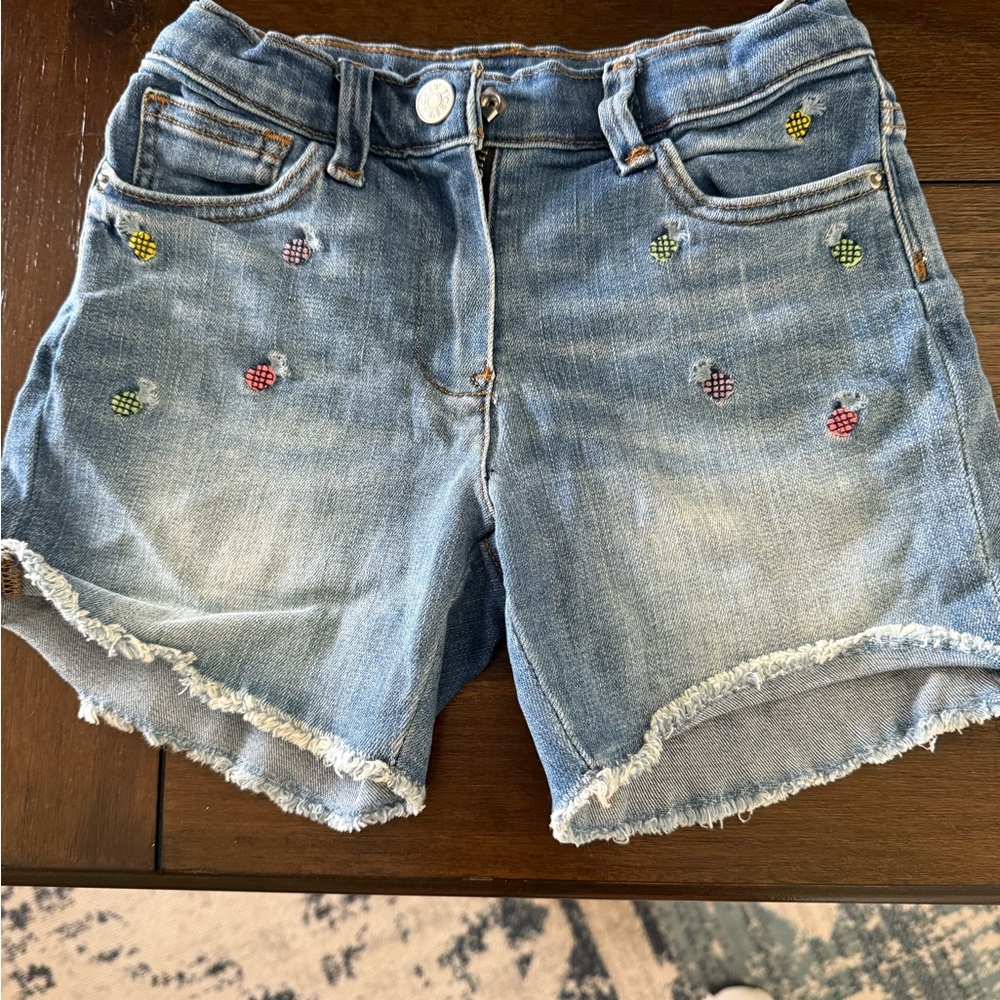 Crewcuts Blue and Red Embroidered Shorts